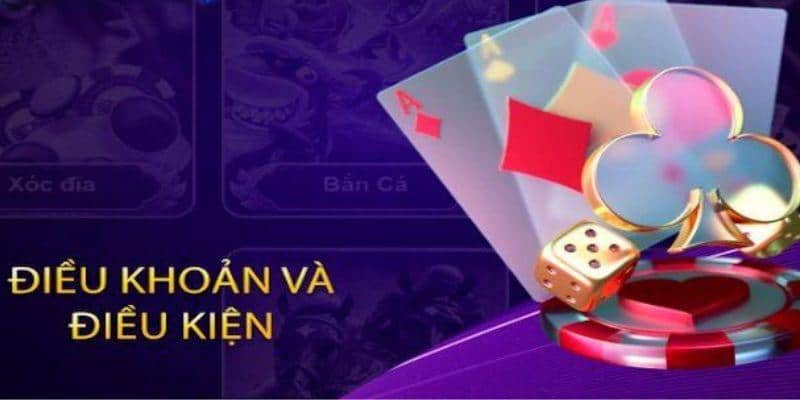 Thông tin về quyền và nghĩa vụ của thành viên BONGVIP